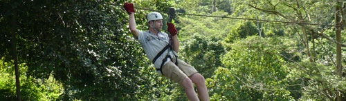 canopy
