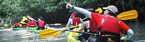 kayak